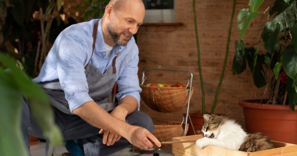 Cat bed placed near patio as alternative spot to keep cats off outdoor furniture